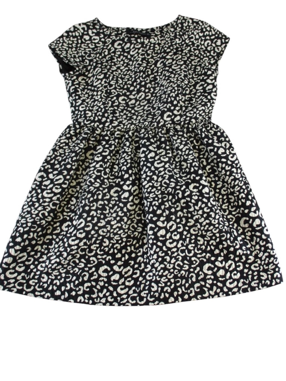Zara Leopard Print Dress